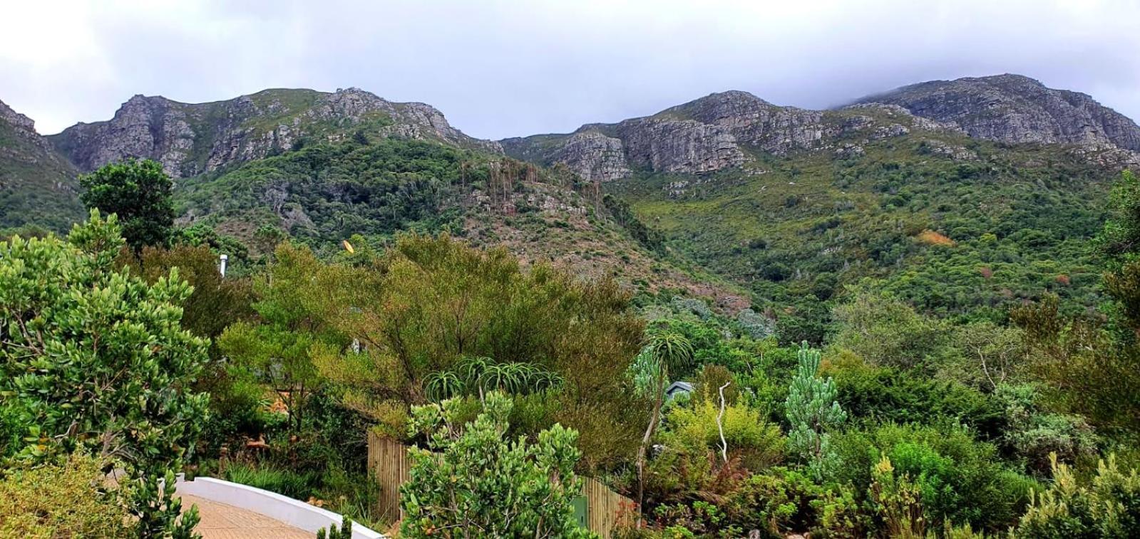 The * Cape Town